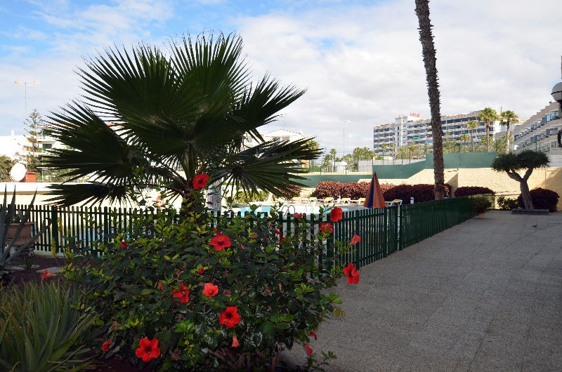 Apartamentos Los Juncos I Playa del Ingles  Dış mekan fotoğraf