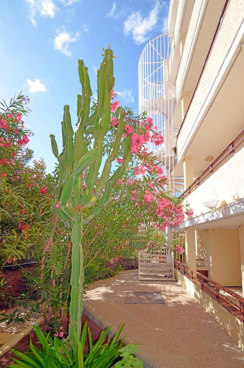 Apartamentos Los Juncos I Playa del Ingles  Dış mekan fotoğraf